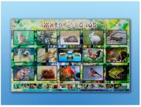 Комплект со стендом Живой уголок. Животные, с тифлопереводом и сурдокомментариями