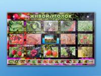 Комплект со стендом Живой уголок. Растения, с тифлопереводом и сурдокомментариями