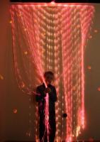 Мерцающие занавеси 120 нитей 1200х2000 мм